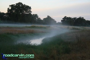Friday Photo - The Fog (II) Friday Photo - The Fog (II)